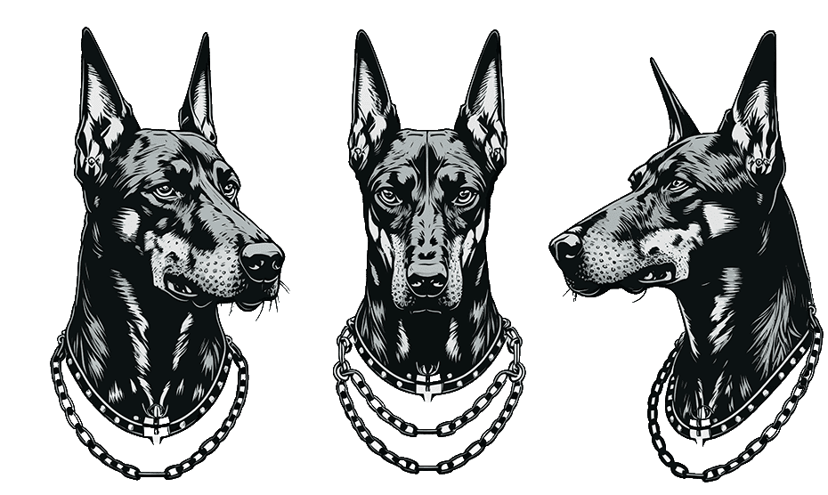 doberman